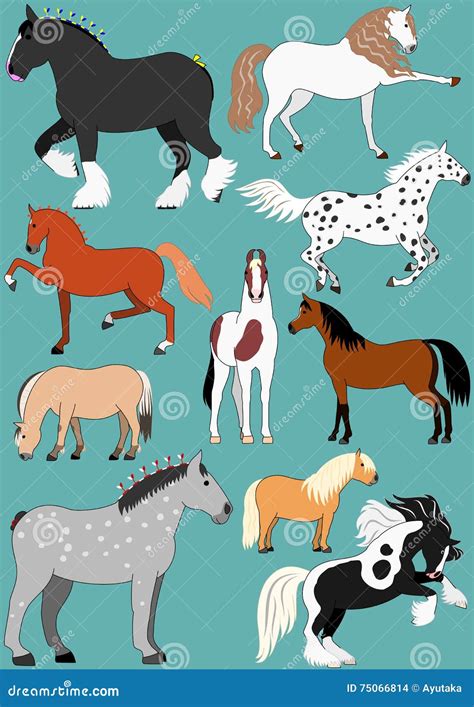 Horse breeds stock vector. Illustration of percheron - 75066814