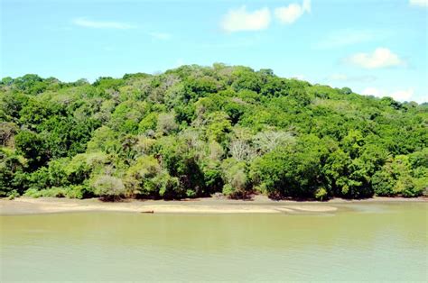 Landscape of the Panama Canal. Stock Photo - Image of ocean, summer ...