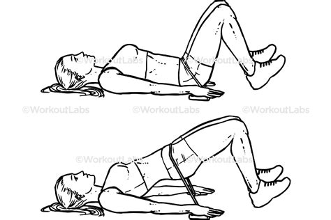 Resistance Band Glute Bridges – WorkoutLabs Exercise Guide