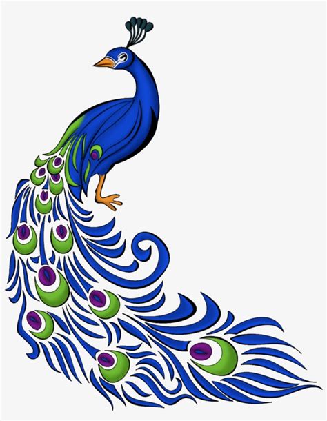 Peacock Feather Vector Free Graphics And Art - Colorful Drawings Of Peacock PNG Image ...