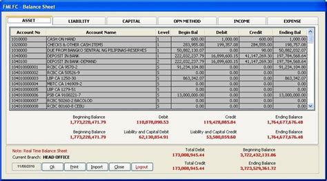 Microsoft Visual Foxpro: General Ledger Balance Sheet