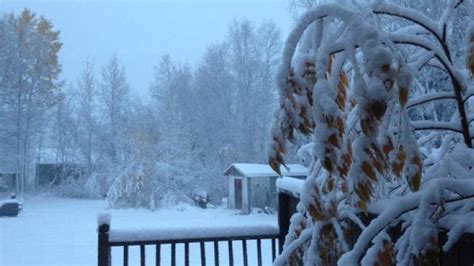 Labrador wakes up to October snowfall | CBC News