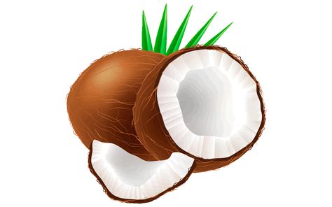 Coconut Tree Clipart at GetDrawings | Free download