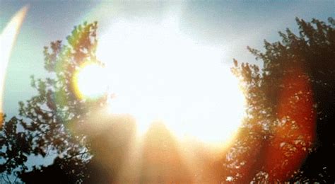 Sunlight GIFs - Get the best gif on GIFER