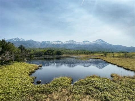 2023 Best Wildflowers Trails in Shiretoko National Park | AllTrails