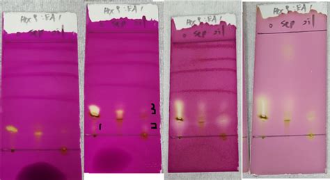 organic chemistry - Interpretation of permanganate-stained TLC spots ...