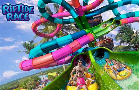 Aquatica San Antonio unveils new dueling pipeline attraction for 2022 ...