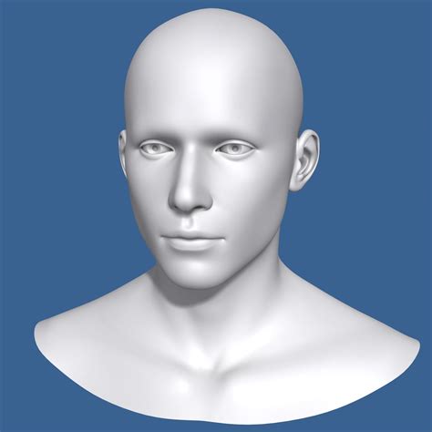 Man Head 3d Model 3D Model $39 - .fbx .max .obj - Free3D