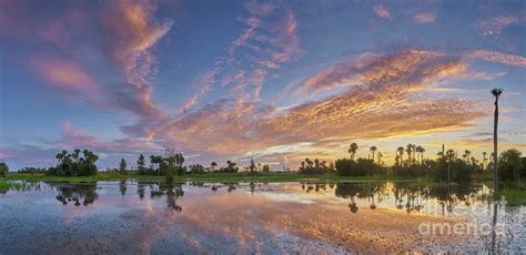 Panoramic Orlando Wetlands Park Photograph by Brian Kamprath - Fine Art ...