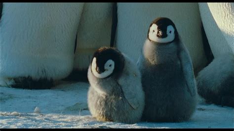 March of the Penguins (2005)