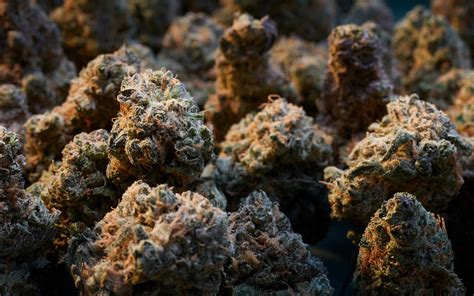 The 9 Most Overhyped Cannabis Strains | Leafly