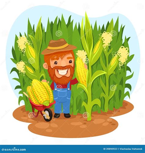 Harvesting Farmer In A Cornfield Stock Vector - Image: 39890933