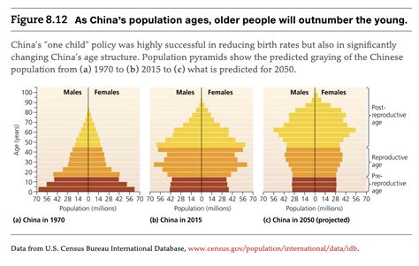 Solved China’s reduction in birth rates is leading to | Chegg.com