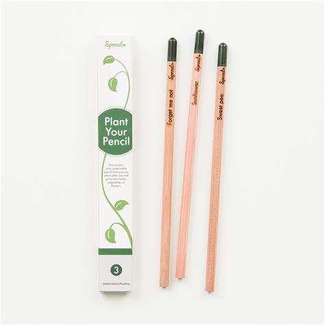 Sprout Pencils | Magnolia