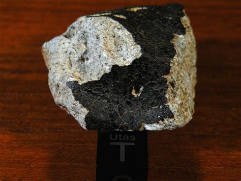 NWA 6497, polymict eucrite - Meteorite Gallery