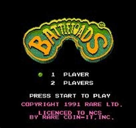 Battletoads Battle Toads Complete Nintendo NES Game For Sale