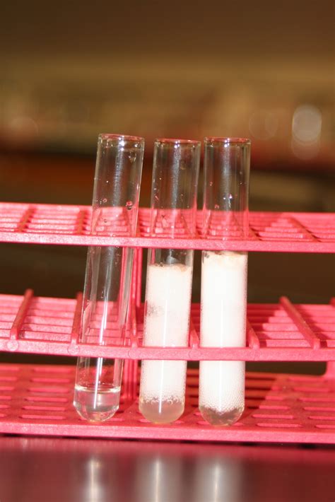 Practical Biology: science for everyone: Easy Enzyme Experiment: Potato Catalase