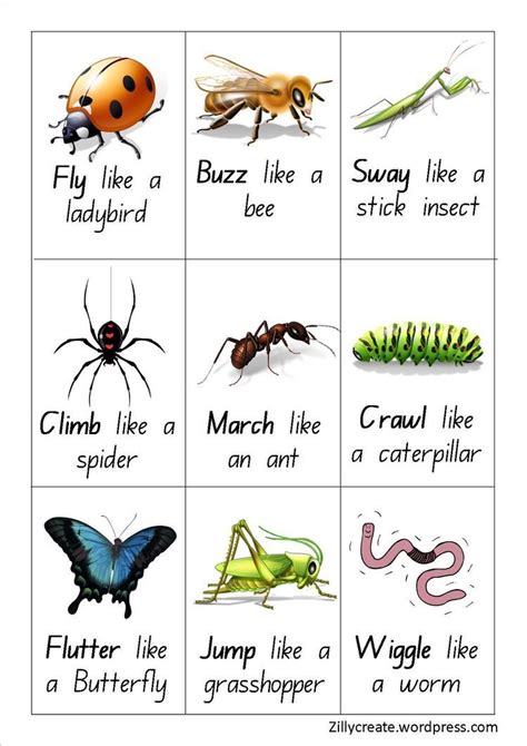 Insect Activities For First Grade