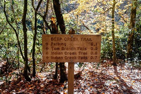 Hike the Deep Creek Trail Loop in the Smoky Mountains