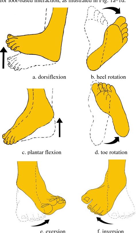 movement of foot | Semantic Scholar