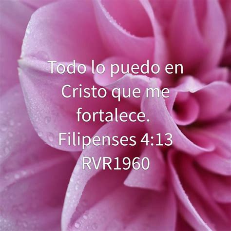 Pin by IRIS on Spanish bible verses | A rose for emily, Education lesson plans, Bible apps