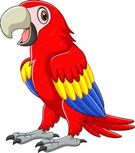 Guacamayo divertido de dibujos animados | Vector Premium