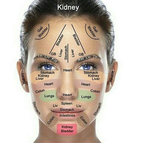 Conditions looking at face | Gezond lichaam, Reflexologie ...