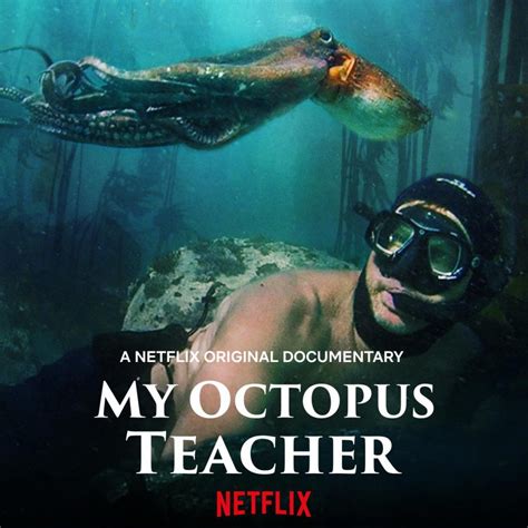 Friday Night Film Series Shows Award-Winning Netflix Documentary, “My Octopus Teacher” – The ...