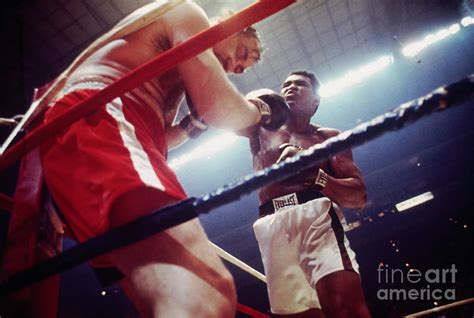 Muhammad Ali And Chuck Wepner Photograph by Bettmann - Fine Art America