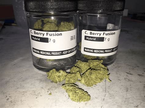 Strain Review – Berry Fusion | Real. Functional.