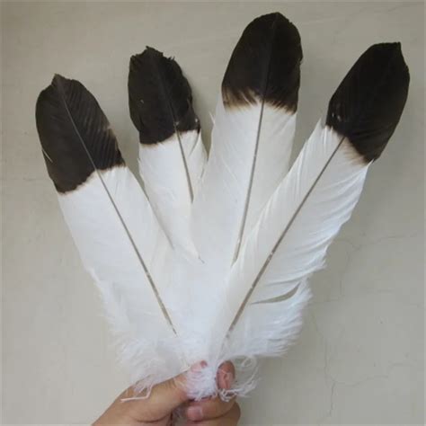 Aliexpress.com : Buy wholesale 5 pcs scare Natural big white eagle tail feathers 40 45cm/16 ...