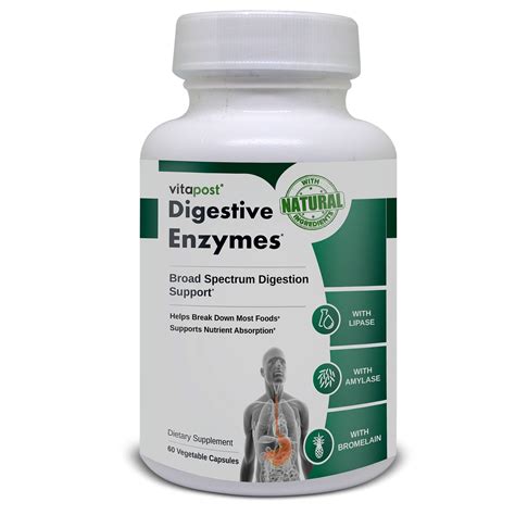 VitaPost Digestive Enzymes Supports Healthy Digestion Naturally ...