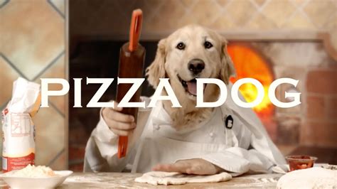 Pizza Dog - YouTube