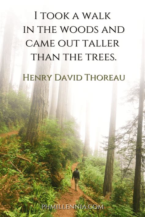 45 Walk in the Woods Quotes to Inspire Your Next Adventure