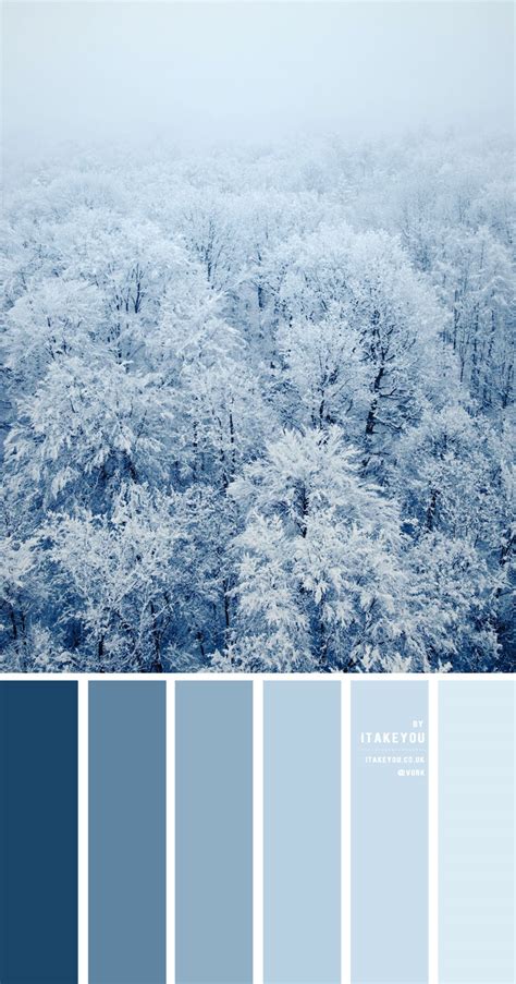 Blue Winter Colour Palette { Shades Of Blue Colour Scheme } | itakeyou