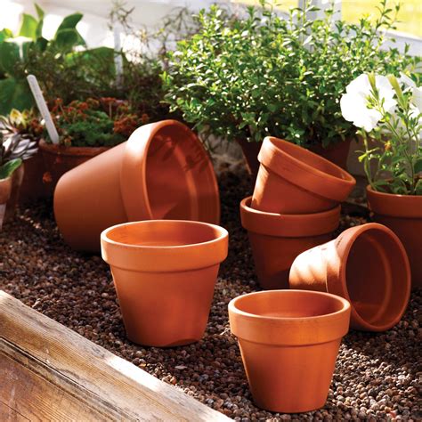 Everyday Terracotta Standard Pot (11 sizes) - VS - Riverhill Garden ...