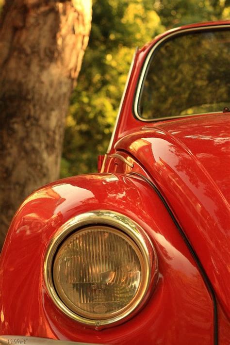 Classic... | Red beetle, Red car, Volkswagen