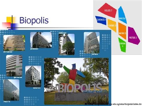 Singapore s Biotechnology Sector and Key Science and Technology