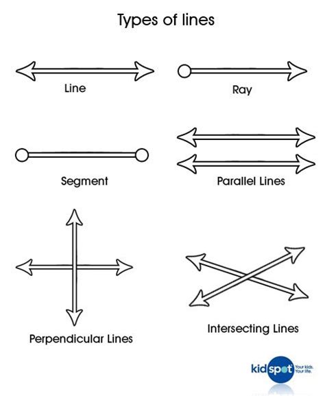 Geometry - Math - Lines | Math geometry, Math for kids, Line math