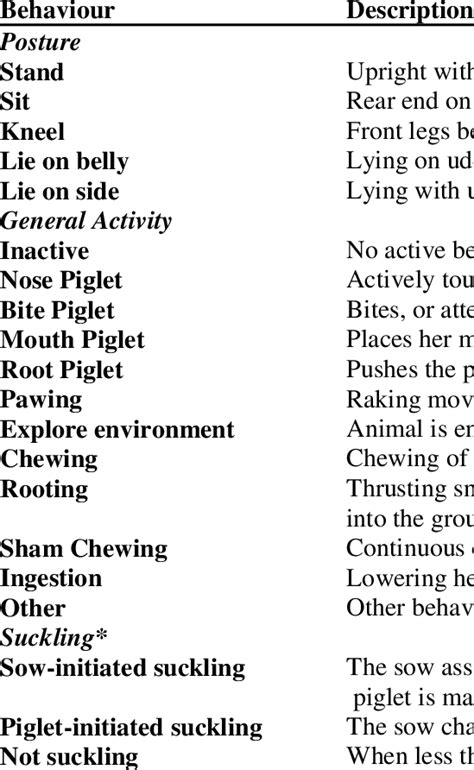 Ethogram of observed sow behaviours | Download Table