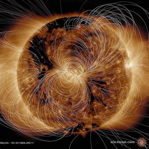 A Gorgeous Computer Generated Visualization of the Sun's Magnetic Field ...