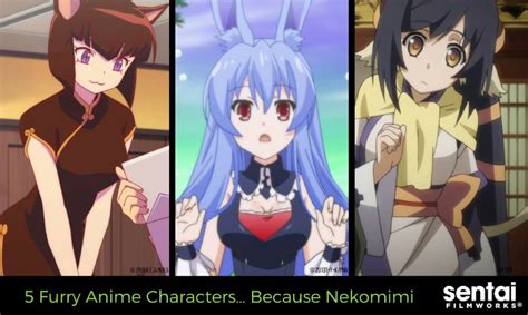 5 Furry Anime Characters… Because Nekomimi - Sentai Filmworks