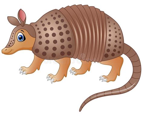 armadillo clipart free 20 free Cliparts | Download images on Clipground 2024