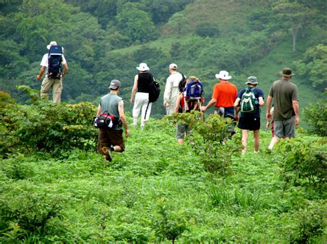 Hiking in nature improves your physical and mental health