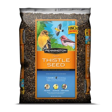 Pennington 8-lb Thistle Seed Wild Bird Food at Lowes.com