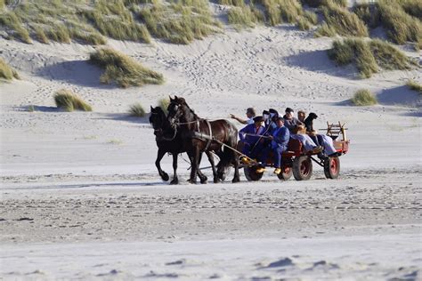 Beaches - Résidence Terschelling