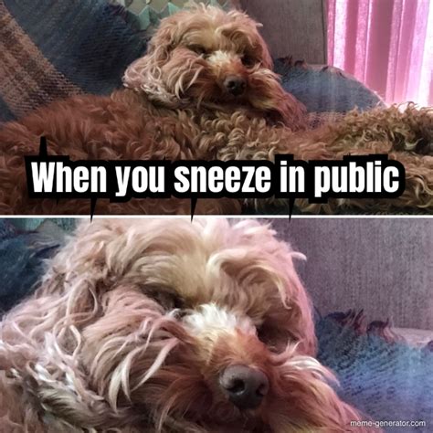 When you sneeze in public - Meme Generator