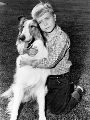 Lassie (Series) - TV Tropes