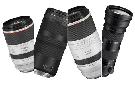 The best telephoto lenses for Canon in 2023 | Popular Photography