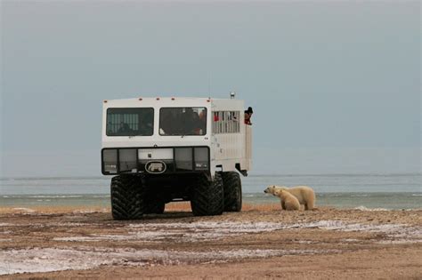 Autumn Tundra Buggy® Day Tours - Churchill | Project Expedition